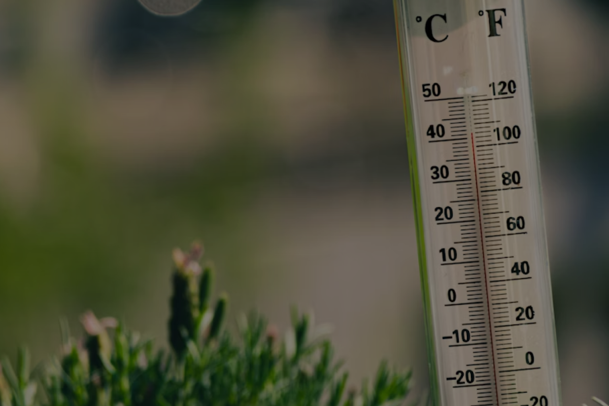 Free thermal containers and temperature sensors for temperature‑sensitive cargo